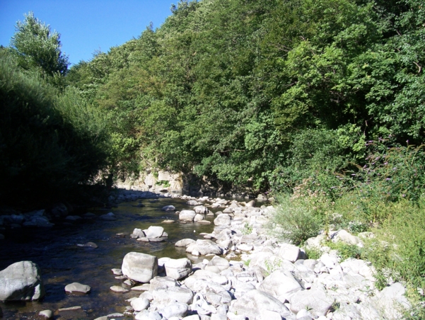  Image name: Fiume32.jpg 
 width: 601 pixel 
 height: 452 pixel 
 Size: 318971 bytes 
 Click to enlarge 